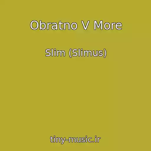 کاور آهنگ Obratno V More از Slim (Slimus)