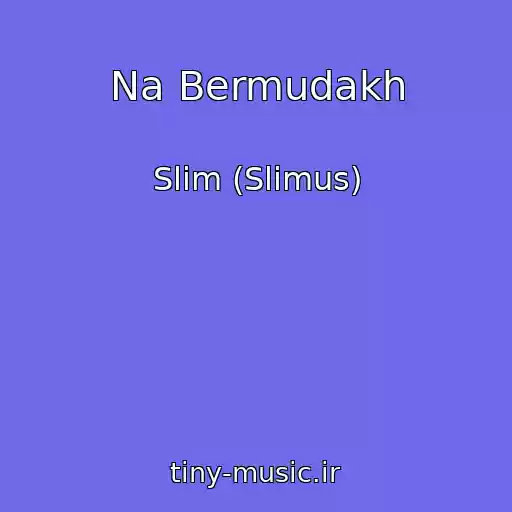 کاور آهنگ Na Bermudakh از Slim (Slimus)