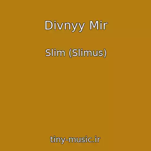 کاور آهنگ Divnyy Mir از Slim (Slimus)