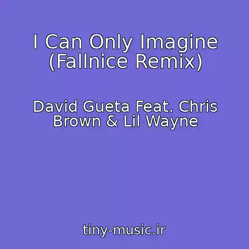 کاور آهنگ I Can Only Imagine (Fallnice Remix) از David Gueta Feat. Chris Brown & Lil Wayne
