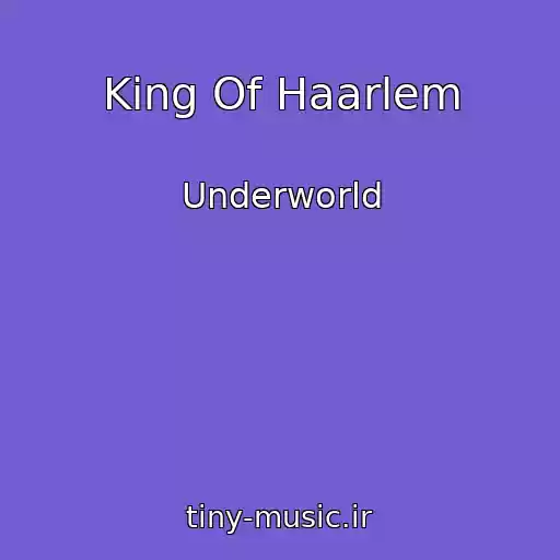 کاور آهنگ King Of Haarlem از Underworld