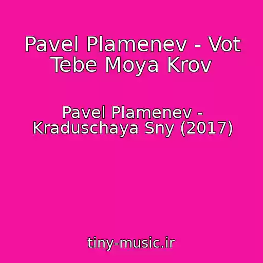 کاور آهنگ Pavel Plamenev - Vot Tebe Moya Krov از Pavel Plamenev - Kraduschaya Sny (2017)