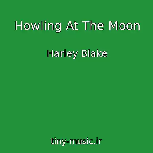 کاور آهنگ Howling At The Moon از Harley Blake