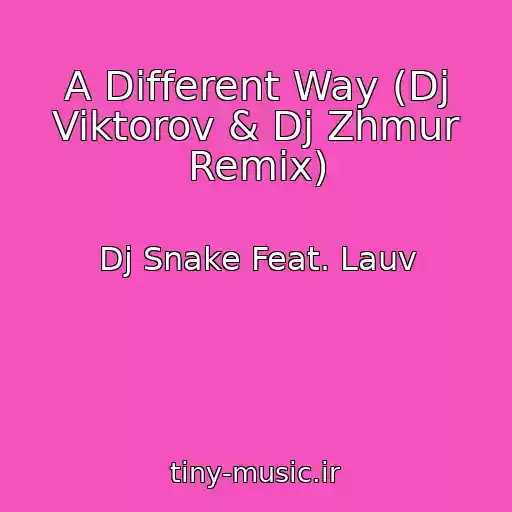 کاور آهنگ A Different Way (Dj Viktorov & Dj Zhmur Remix) از Dj Snake Feat. Lauv