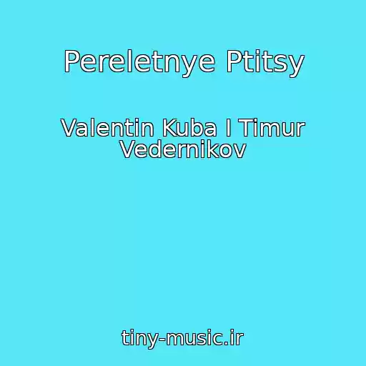 کاور آهنگ Pereletnye Ptitsy از Valentin Kuba I Timur Vedernikov