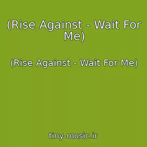 کاور آهنگ (Rise Against - Wait For Me) از (Rise Against - Wait For Me)