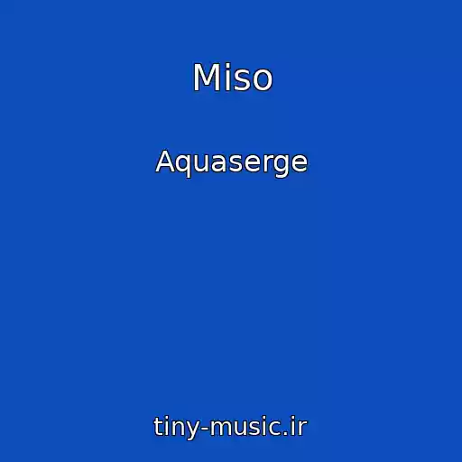 کاور آهنگ Miso از Aquaserge