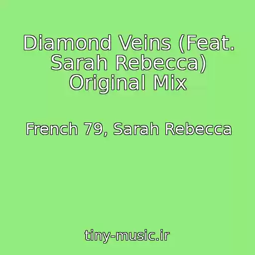 کاور آهنگ Diamond Veins (Feat. Sarah Rebecca) Original Mix از French 79, Sarah Rebecca