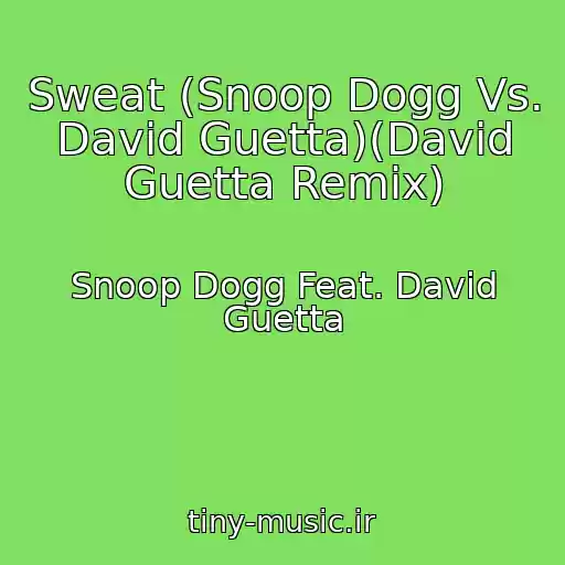 کاور آهنگ Sweat (Snoop Dogg Vs. David Guetta)(David Guetta Remix) از Snoop Dogg Feat. David Guetta