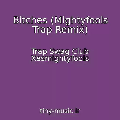 کاور آهنگ Bitches (Mightyfools Trap Remix) از Trap Swag Club Xesmightyfools