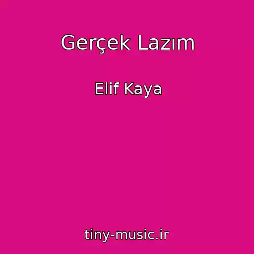 کاور آهنگ Gerçek Lazım از Elif Kaya