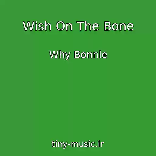 کاور آهنگ Wish On The Bone از Why Bonnie