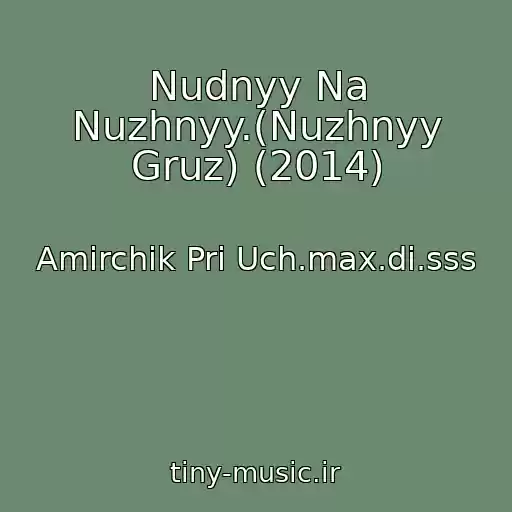 کاور آهنگ Nudnyy Na Nuzhnyy.(Nuzhnyy Gruz) (2014) از Amirchik Pri Uch.max.di.sss