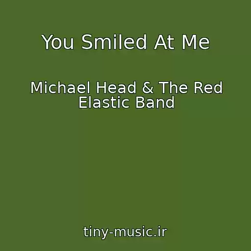کاور آهنگ You Smiled At Me از Michael Head & The Red Elastic Band
