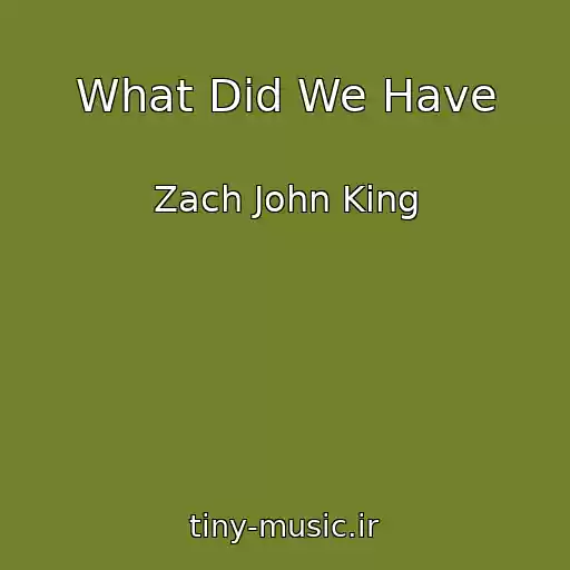 کاور آهنگ What Did We Have از Zach John King