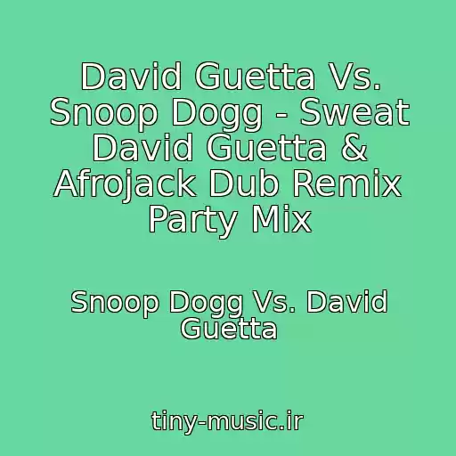 کاور آهنگ David Guetta Vs. Snoop Dogg - Sweat David Guetta & Afrojack Dub Remix Party Mix از Snoop Dogg Vs. David Guetta