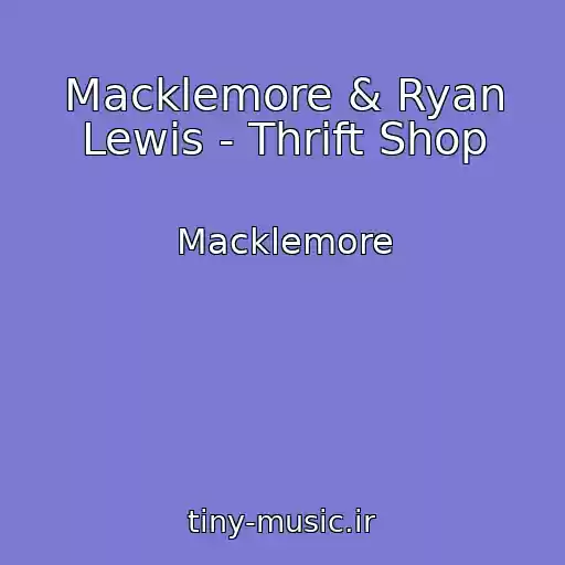 کاور آهنگ Macklemore & Ryan Lewis - Thrift Shop از Macklemore