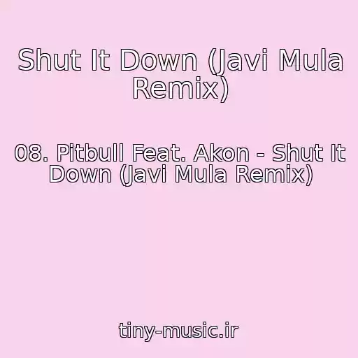 کاور آهنگ Shut It Down (Javi Mula Remix) از 08. Pitbull Feat. Akon - Shut It Down (Javi Mula Remix)