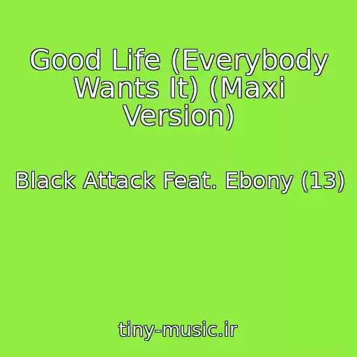 کاور آهنگ Good Life (Everybody Wants It) (Maxi Version) از Black Attack Feat. Ebony (13)