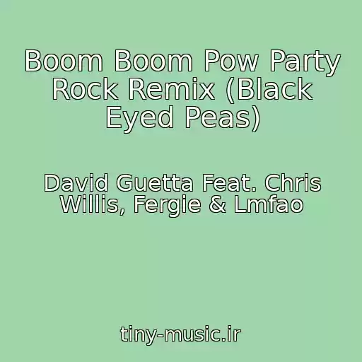 کاور آهنگ Boom Boom Pow Party Rock Remix (Black Eyed Peas) از David Guetta Feat. Chris Willis, Fergie & Lmfao