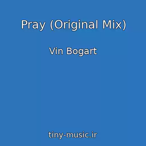 کاور آهنگ Pray (Original Mix) از Vin Bogart