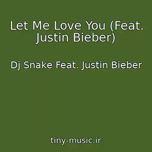 کاور آهنگ Let Me Love You (Feat. Justin Bieber) از Dj Snake Feat. Justin Bieber