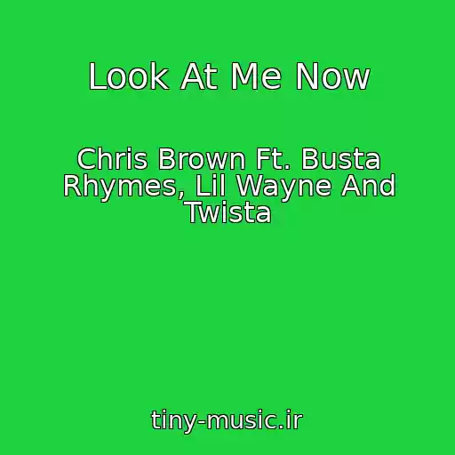 کاور آهنگ Look At Me Now از Chris Brown Ft. Busta Rhymes, Lil Wayne And Twista