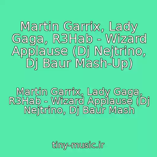 کاور آهنگ Martin Garrix, Lady Gaga, R3Hab - Wizard Applause (Dj Nejtrino, Dj Baur Mash-Up) از Martin Garrix, Lady Gaga, R3Hab - Wizard Applause (Dj Nejtrino, Dj Baur Mash