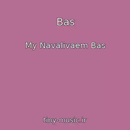 کاور آهنگ Bas از My Navalivaem Bas