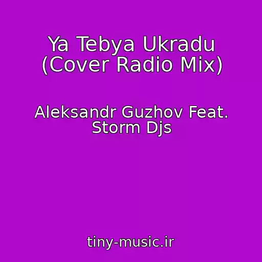 کاور آهنگ Ya Tebya Ukradu (Cover Radio Mix) از Aleksandr Guzhov Feat. Storm Djs