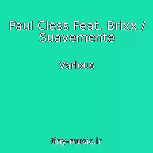 کاور آهنگ Paul Cless Feat. Brixx / Suavemente از Various
