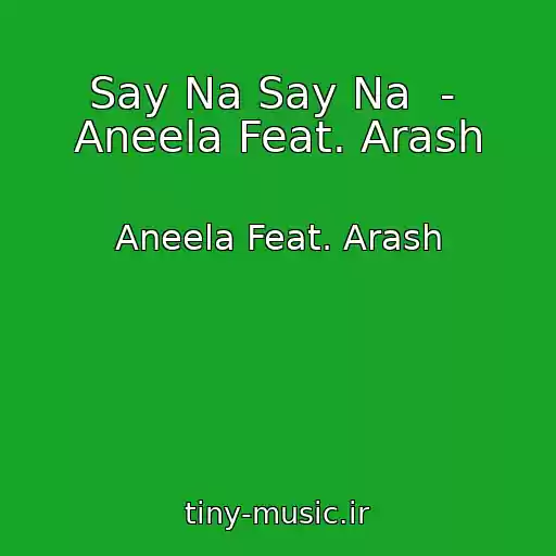 کاور آهنگ Say Na Say Na  -  Aneela Feat. Arash از Aneela Feat. Arash