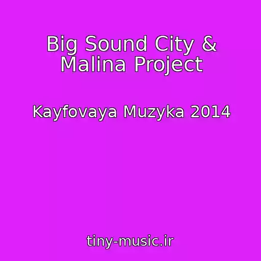 کاور آهنگ Big Sound City & Malina Project از Kayfovaya Muzyka 2014