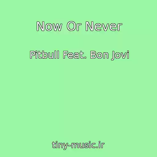 کاور آهنگ Now Or Never از Pitbull Feat. Bon Jovi