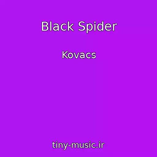 کاور آهنگ Black Spider از Kovacs