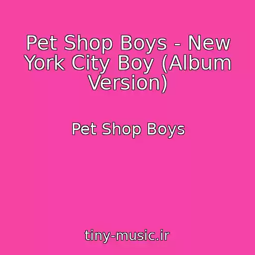 کاور آهنگ Pet Shop Boys - New York City Boy (Album Version) از Pet Shop Boys