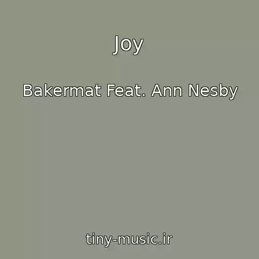 کاور آهنگ Joy از Bakermat Feat. Ann Nesby