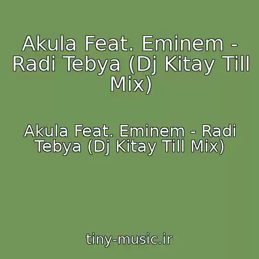 کاور آهنگ Akula Feat. Eminem - Radi Tebya (Dj Kitay Till Mix) از Akula Feat. Eminem - Radi Tebya (Dj Kitay Till Mix)
