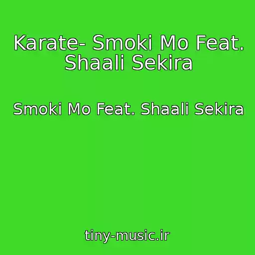 کاور آهنگ Karate- Smoki Mo Feat. Shaali Sekira از Smoki Mo Feat. Shaali Sekira