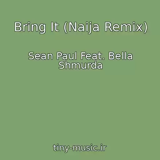 کاور آهنگ Bring It (Naija Remix) از Sean Paul Feat. Bella Shmurda