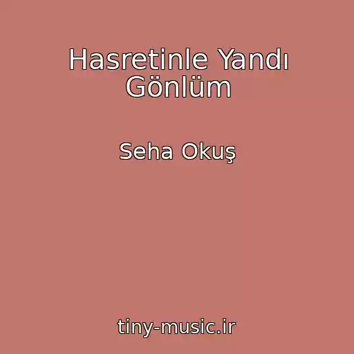 کاور آهنگ Hasretinle Yandı Gönlüm از Seha Okuş