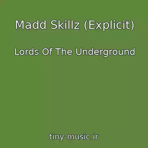 کاور آهنگ Madd Skillz (Explicit) از Lords Of The Underground
