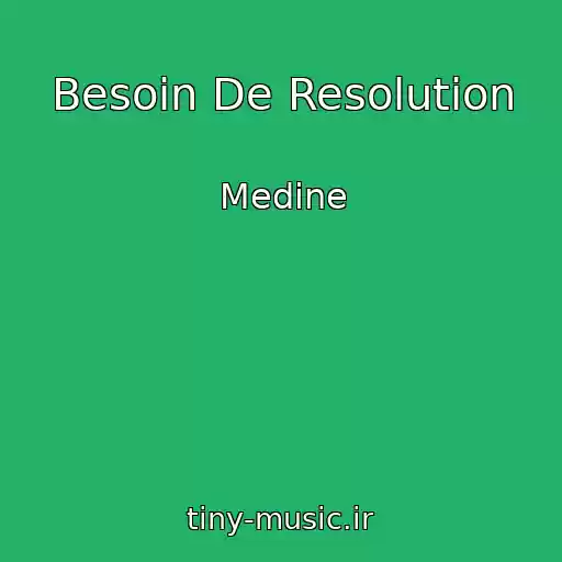کاور آهنگ Besoin De Resolution از Medine