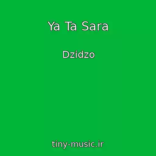 کاور آهنگ Ya Ta Sara از Dzidzo