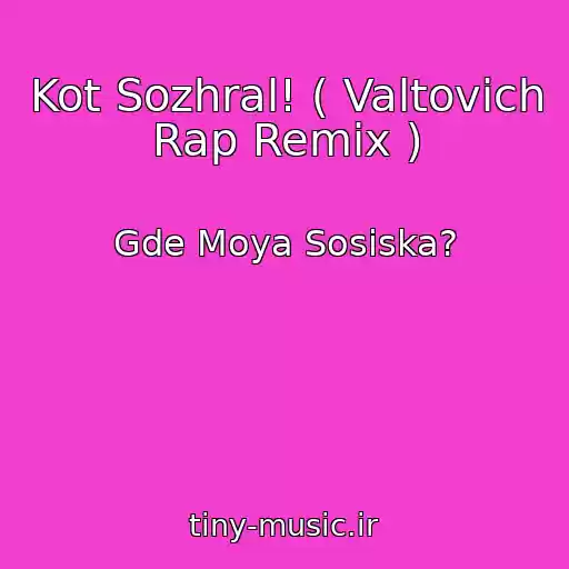 کاور آهنگ Kot Sozhral! ( Valtovich Rap Remix ) از Gde Moya Sosiska?