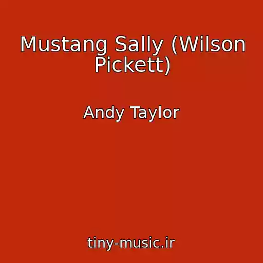 کاور آهنگ Mustang Sally (Wilson Pickett) از Andy Taylor