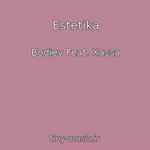 کاور آهنگ Estetika از Bodiev Feat. Xassa