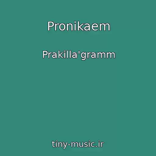 کاور آهنگ Pronikaem از Prakilla'gramm