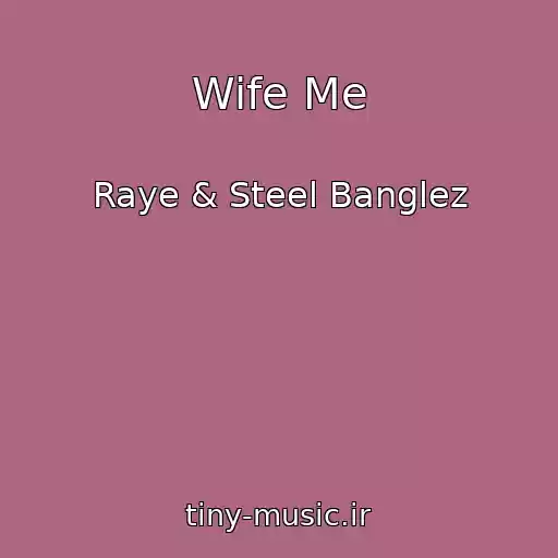 کاور آهنگ Wife Me از Raye & Steel Banglez