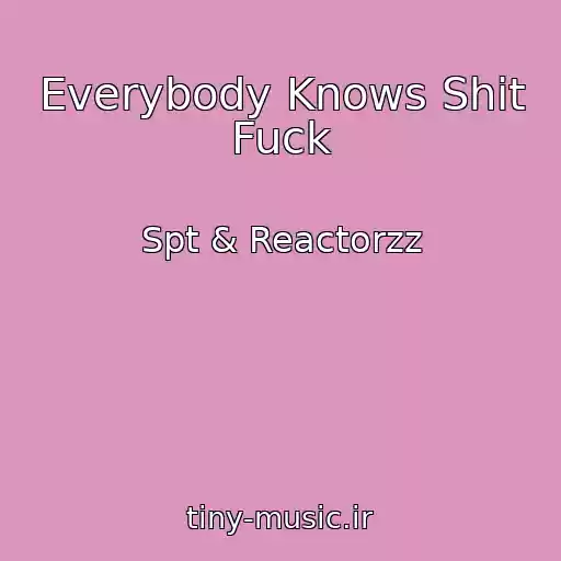 کاور آهنگ Everybody Knows Shit Fuck از Spt & Reactorzz